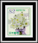 Christmas Rose