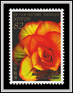 Tuberous Begonia
