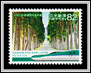 Tree Lined Road