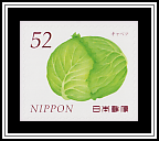 Cabbage