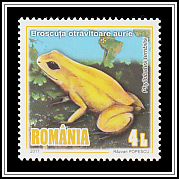 Golden Poison Frog