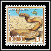 Inland Taipan
