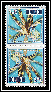 Tête-bêche Pair Type II