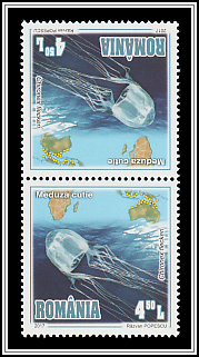 Tête-bêche Pair Type II