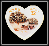 Hedgehogs