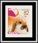Lop-eared Rabbit