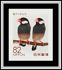Java Sparrows