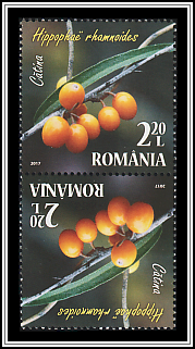 Tête-bêche Pair Type I