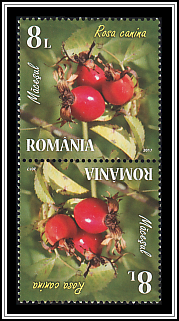 Tête-bêche Pair Type I
