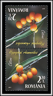 Tête-bêche Pair Type II