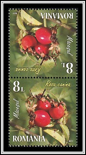 Tête-bêche Pair Type II
