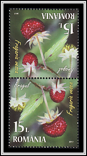 Tête-bêche Pair Type II