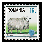 Tsurcană
