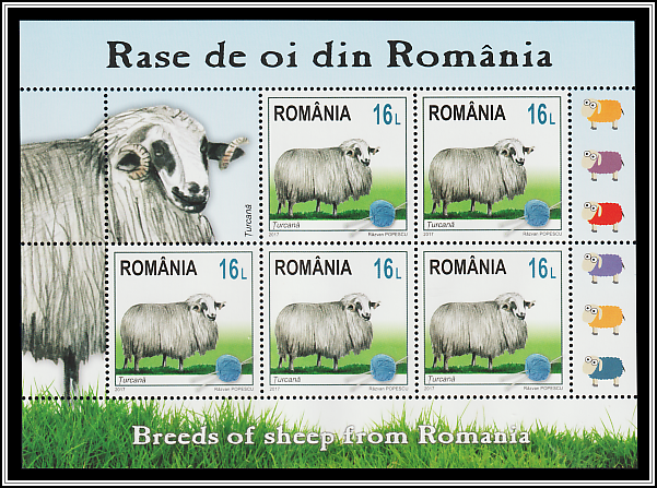 Tsurcană