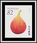 Common Fig