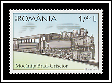 Brad-Crişcior Mocăniță