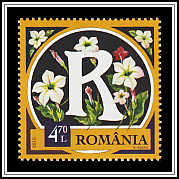 Ornamental Tobacco