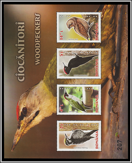 Limited Edition Souvenir Sheet