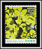 Notched Beech
