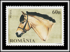 Huțul