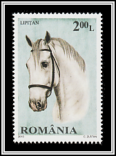 Lipizzan
