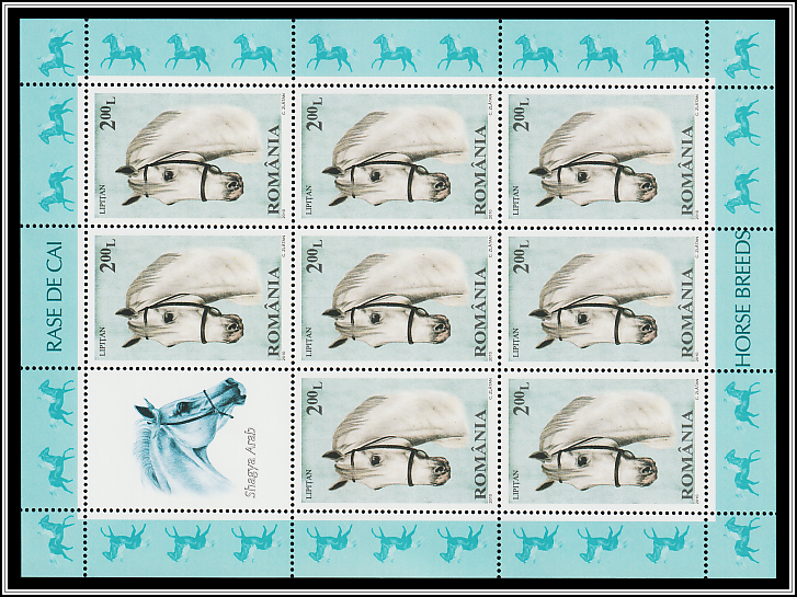 Lipizzan