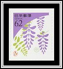 Wisteria