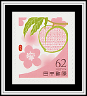 Peach Blossom