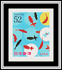 Koi
