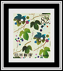 Grapevines