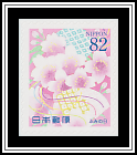 Cherry Blossoms