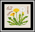 Dandelion
