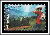 Carpathian Landscape