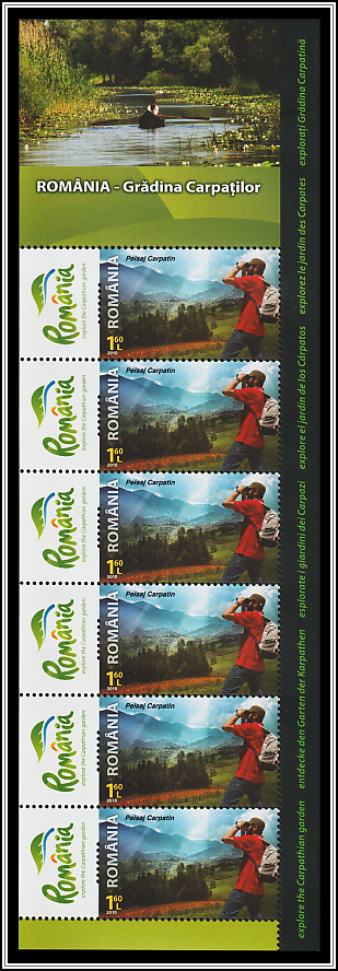 Carpathian Landscape