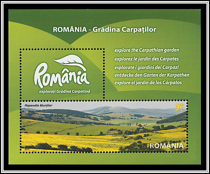 Carpathian Landscape