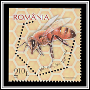 Italian Honey Bee