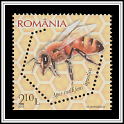 Italian Honey Bee