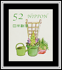 Trellis & Plants