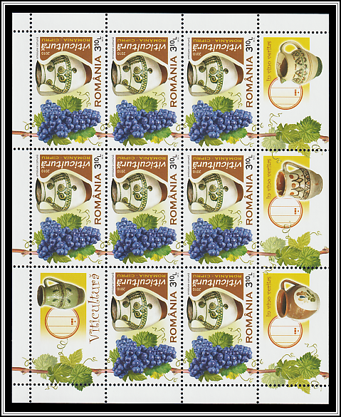 Grapes & Wine Barrels