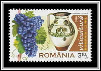 Grapes & Wine Barrels