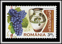 Grapes & Wine Barrels