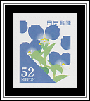 Asiatic Dayflower
