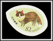 Raccoon Dog