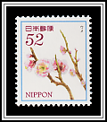 Plum Blossoms
