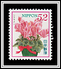 Persian Cyclamen