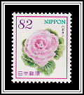 Ornamental Kale