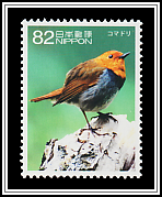 Japanese Robin