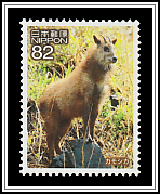 Japanese Serow