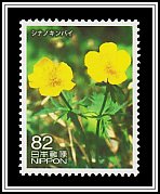 Japanese Troll Flower