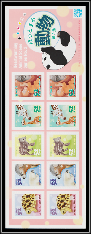 Baby Animals